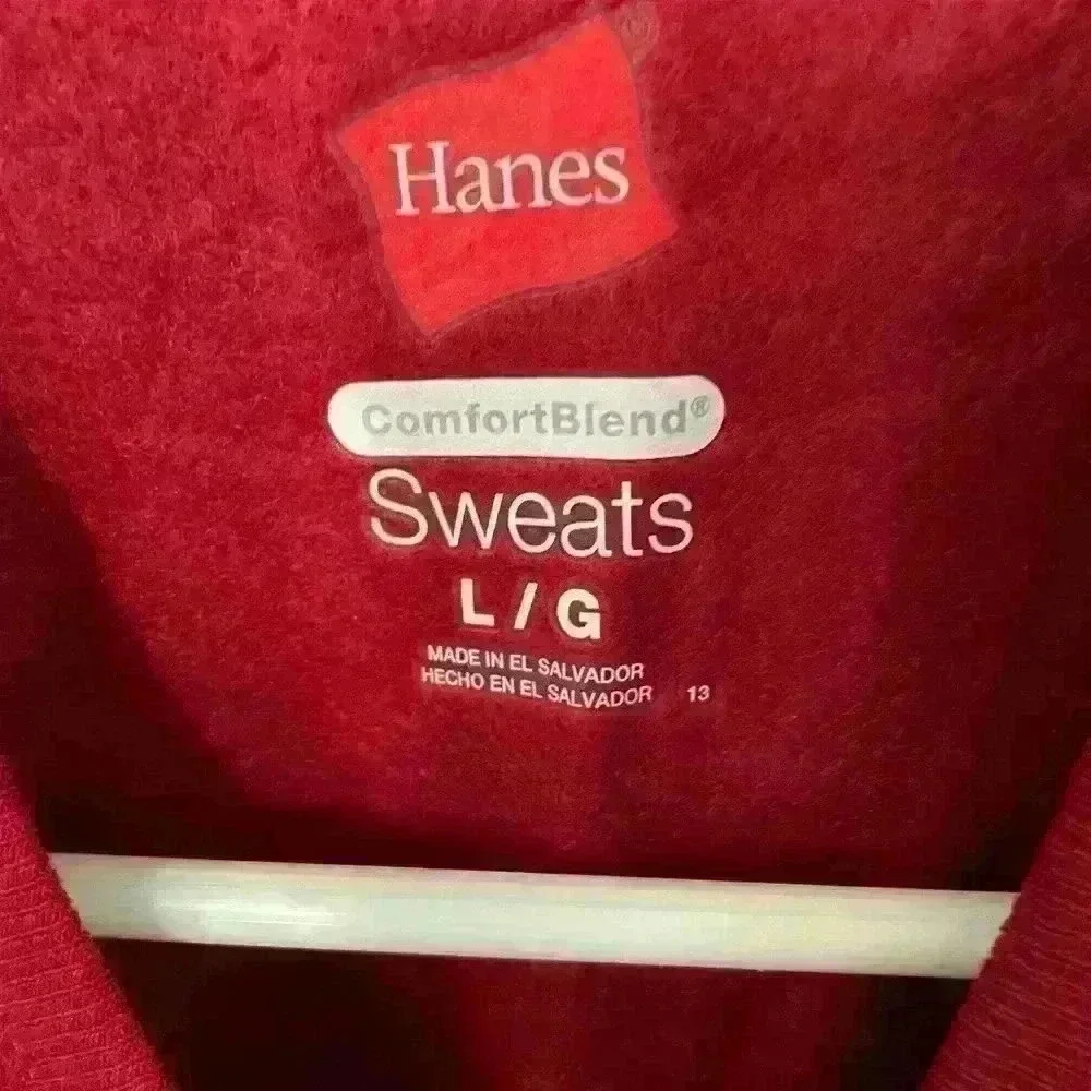 NWOT 3 Hanes Kid Sweatshirts